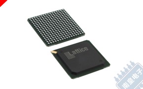 LFE2-20E-5F256C 图片