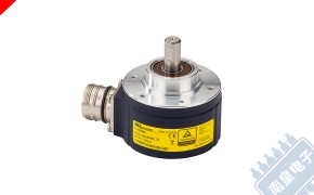 DSM506-1024S013 图片